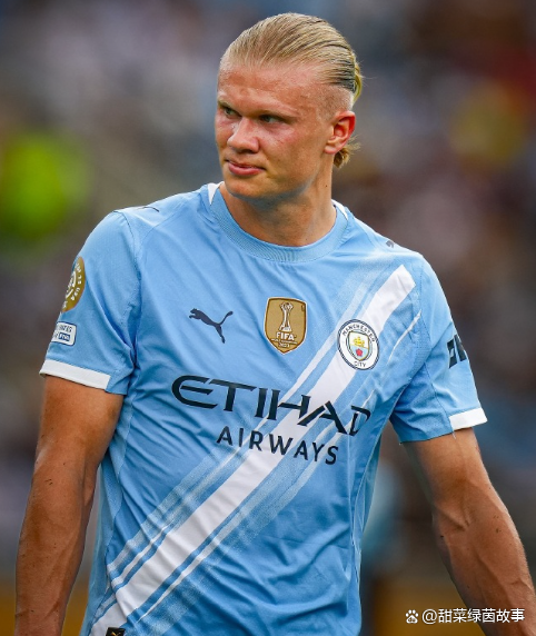 哈兰德新星刷新纪录表现突出，尤文图斯前途光明！再创辉煌时刻的简单介绍